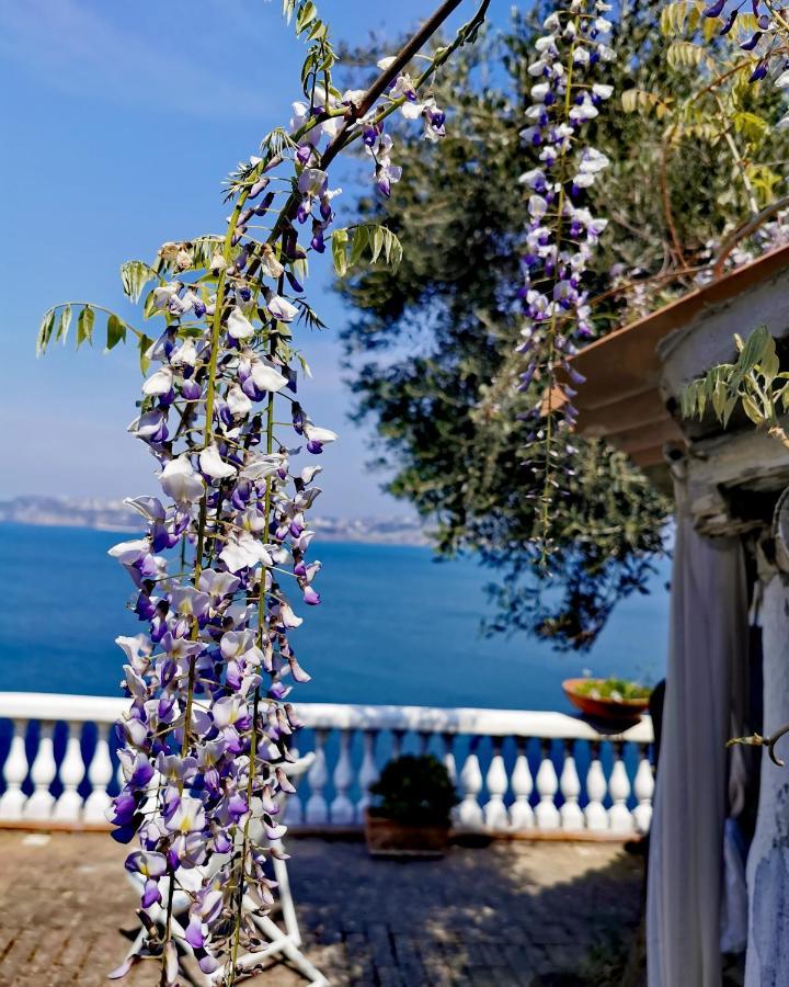 Summer Paradise Procida Bagian luar foto