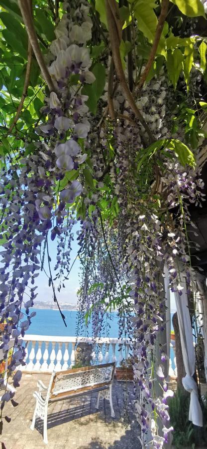 Summer Paradise Procida Bagian luar foto