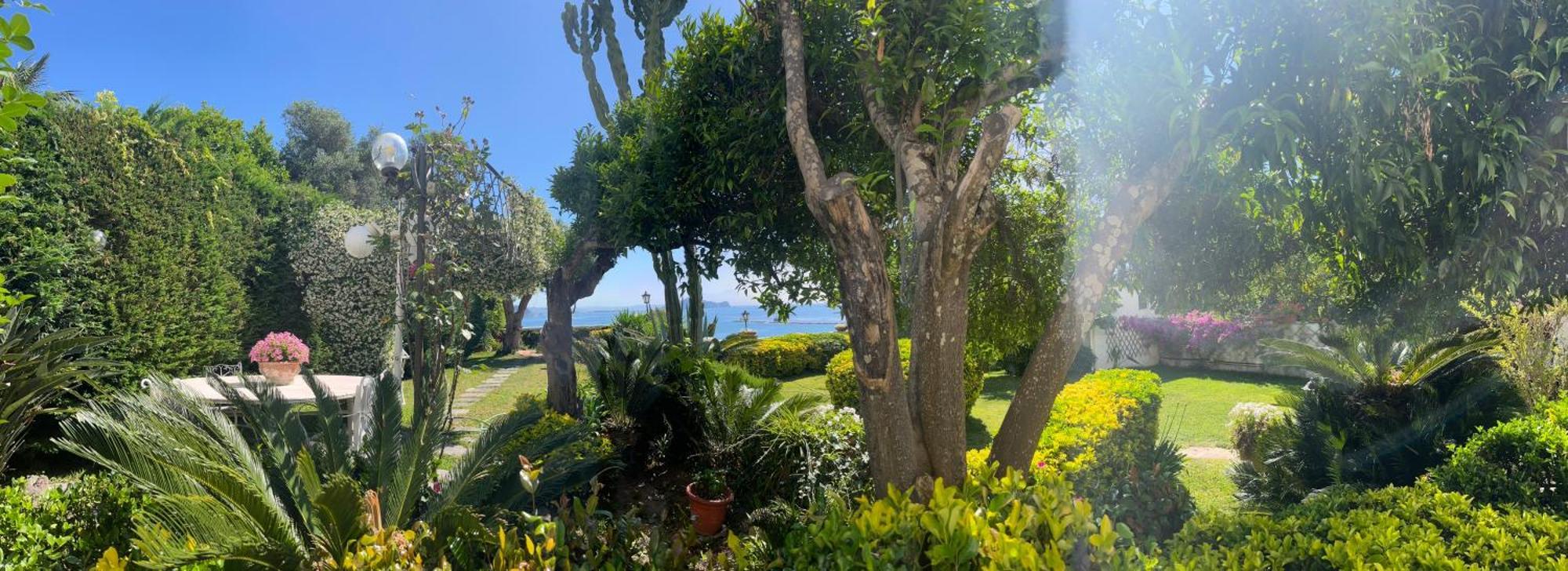 Summer Paradise Procida Bagian luar foto